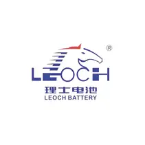 Leoch battery